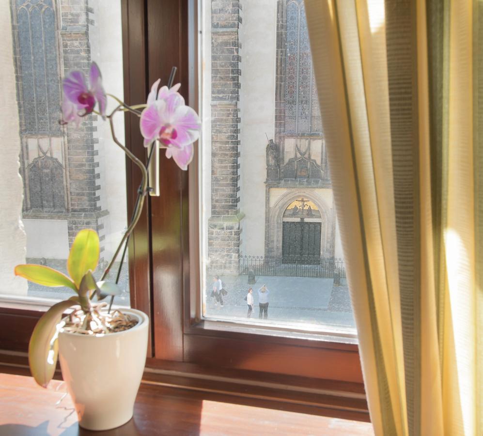 Hotel Alte Canzley Wittenberg Kültér fotó